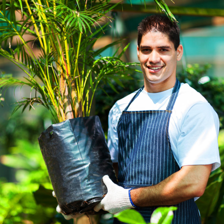 Nursery Bags TDI Custom Packaging, Inc.