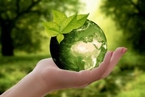 image of a hand holding a plant and the globe to symbolize sustainability