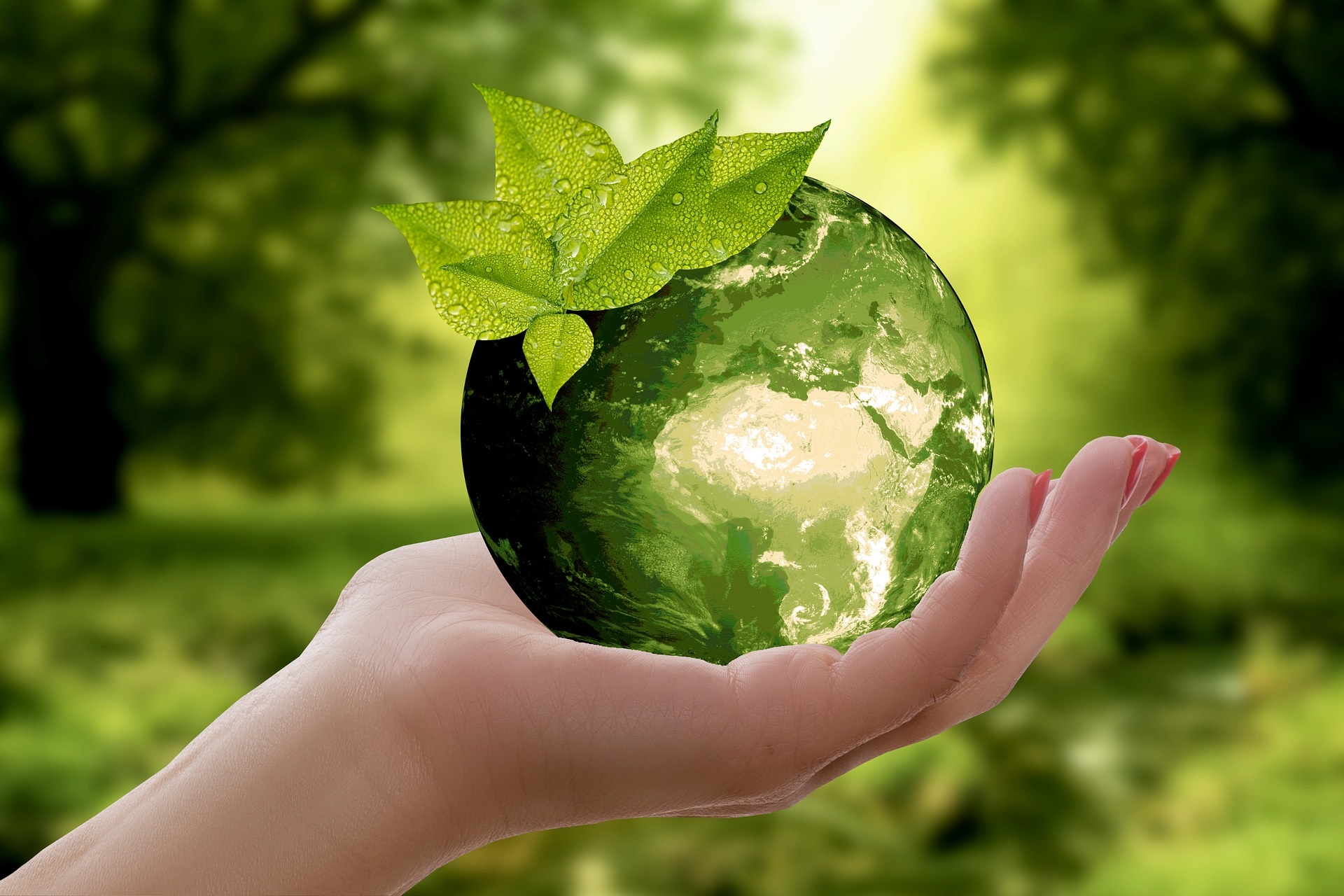 a hand holding a green globe symbolizing we need to refocus on recycling plastic packaging