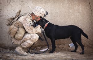 military service member kissing his service dog
