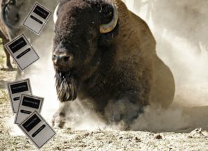 Image of an aggressive bison throwing around heavy-duty poly bags