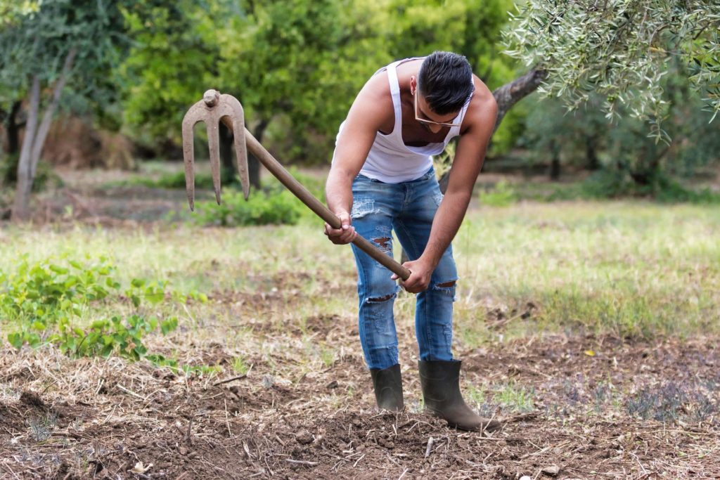 image of a male person working in the field