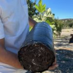 image of a person holding a plant grow sleeve