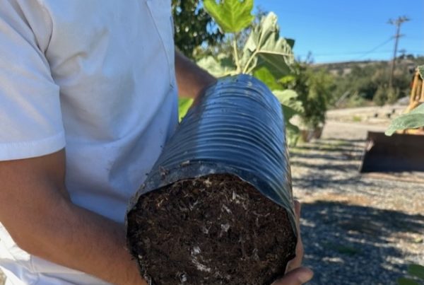 image of a person holding a black plant grow sleeve