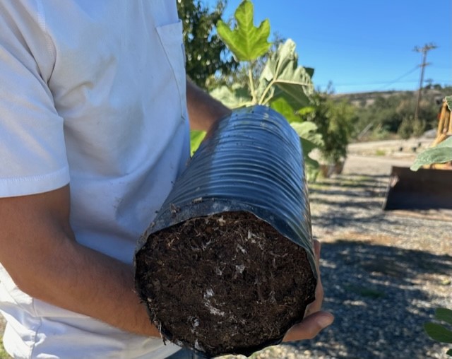 image of a person holding a black plant grow sleeve