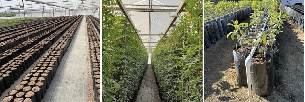 image of greenhouses and a field with black custom grow bags from TDI Custom Packaging, Inc.
