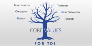 image of a tree with words that say "CORE VALUES FOR TDI" and words that describe this acronym FOR TDI