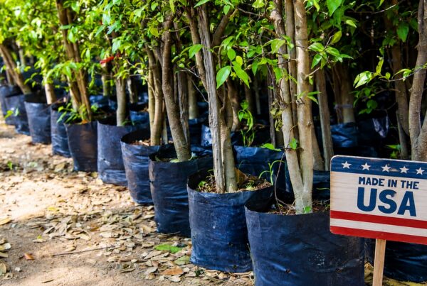 image of nursery grow bags in a nursery manufactured by TDI Custom Packaging