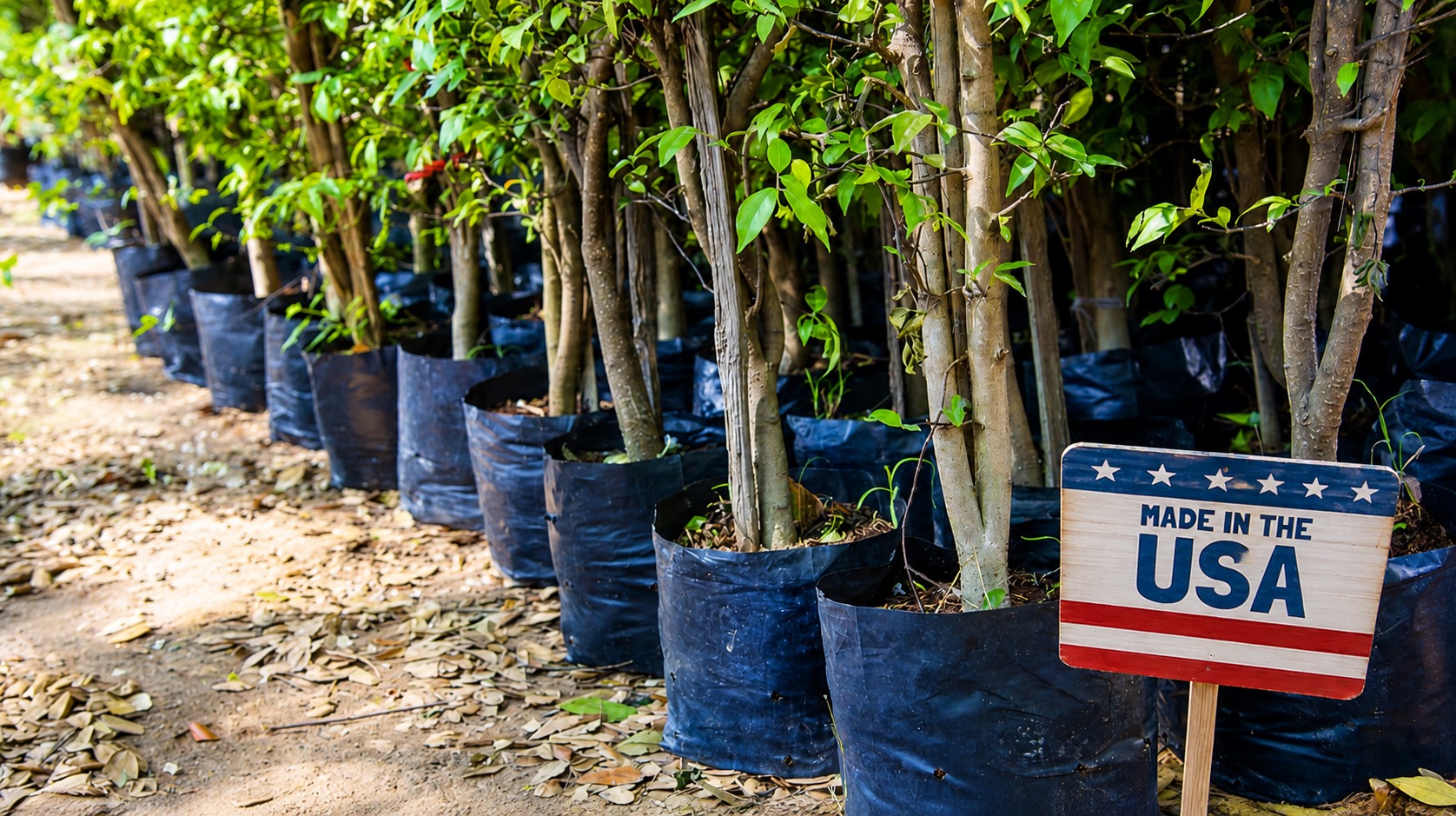 image of nursery grow bags in a nursery manufactured by TDI Custom Packaging